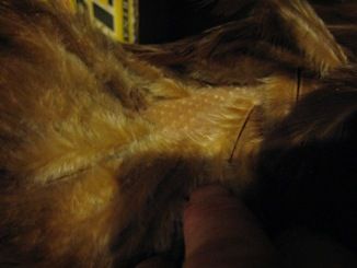 5577_sophie_closeup.jpg