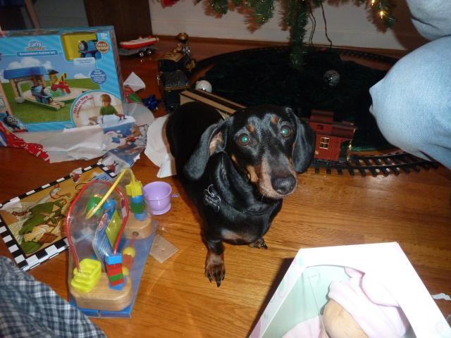 55864_christmas_022.jpg