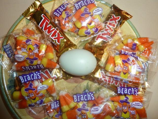 55864_egg2.jpg