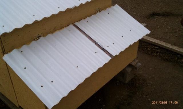 55886_mini_coop_nest_back.jpg