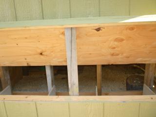 55925_sleepover_and_chickens_059.jpg