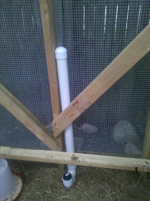 55944_2010-05-28_194025.jpg
