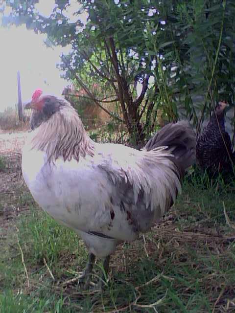 56092_emit2.jpeg