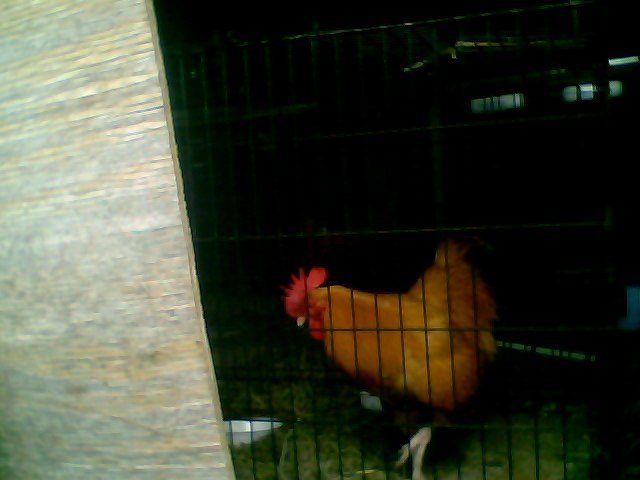 56092_snapshot_20100719.jpg