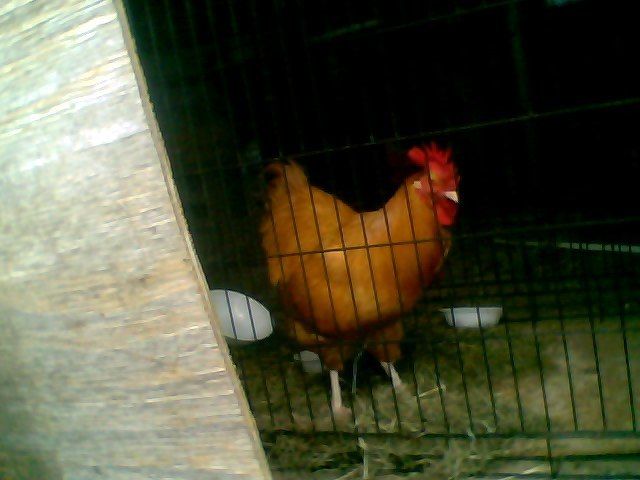 56092_snapshot_20100719_2.jpg