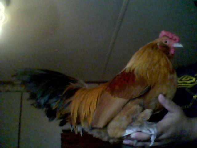 56092_snapshot_20100820_10.jpg