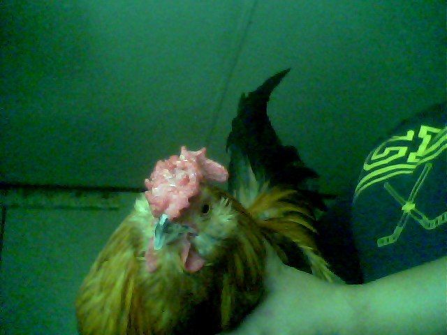 56092_snapshot_20100820_15.jpg