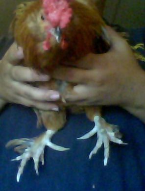 56092_snapshot_20100821_32.jpg