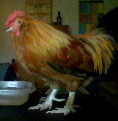 56092_snapshot_20100821_47.jpg