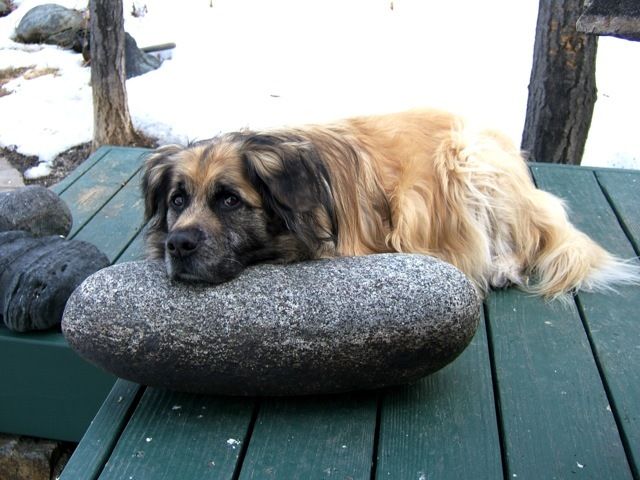 56124_chesters_soft_pillow1.jpg