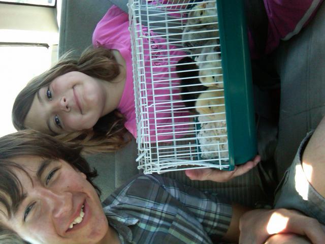 56125_geoffkatechicks.jpg