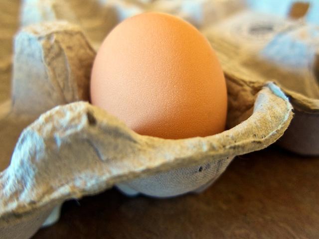56164_blondies_first_egg_img_1241cr2.jpg