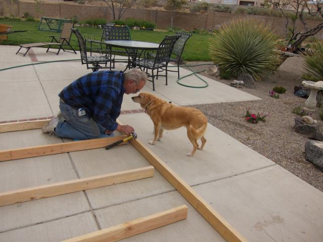 56164_chicken_coop_starting_frame_018.jpg