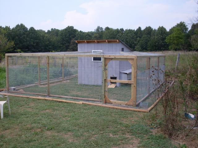 56168_coop_8-13-10_001.jpg