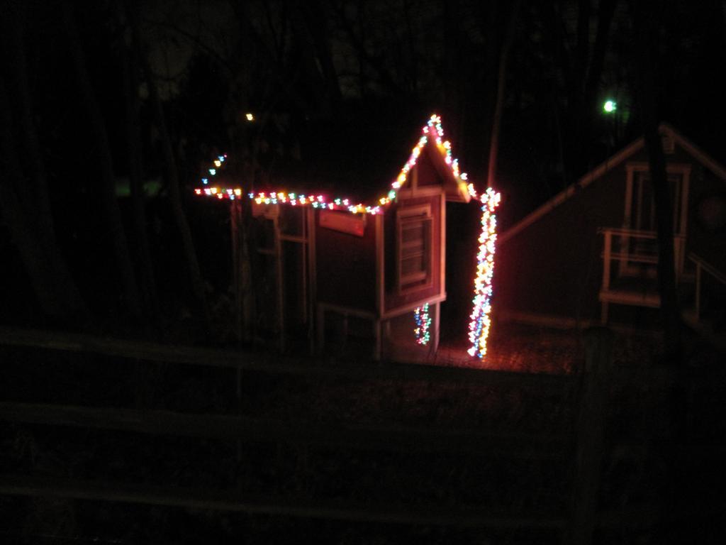 56209_christmas_coop.jpg