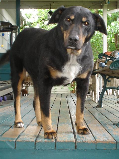 56235_dsc00014.jpg