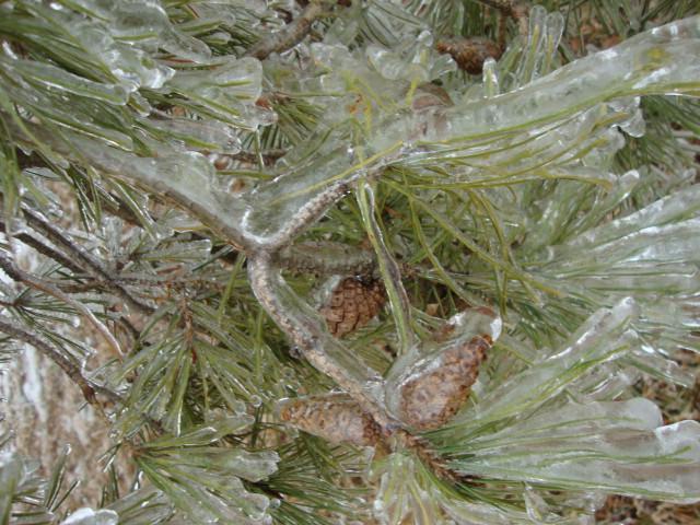 5630_dsc00590.jpg