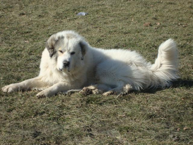 5630_dsc01983.jpg