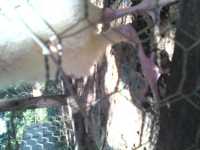 56310_0706001041a_-_copy.jpg