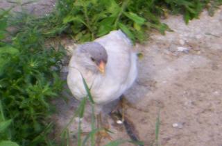 5643_june21_007.jpg