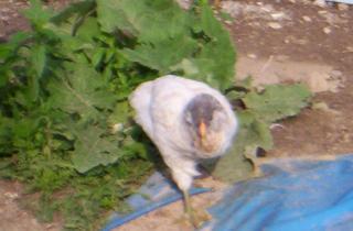 5643_june21_008.jpg
