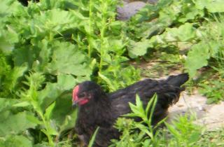 5643_june21_009.jpg