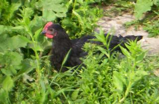 5643_june21_010.jpg