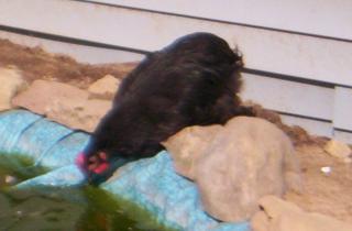 5643_june21_015.jpg