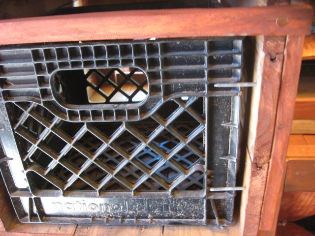 56493_008.jpg