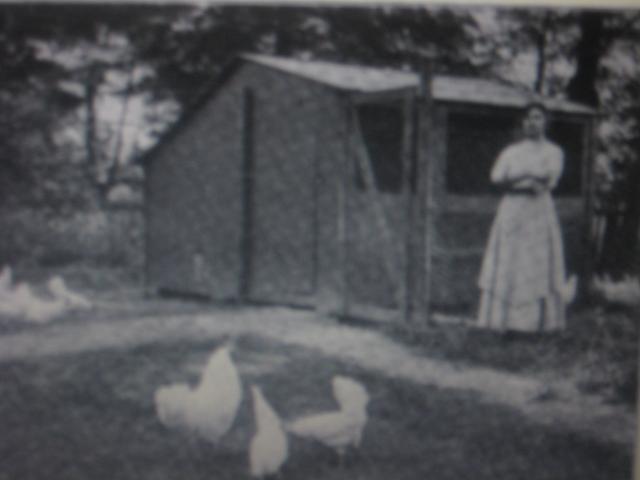 56493_159.jpg
