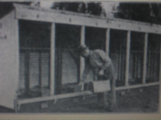 56493_160.jpg