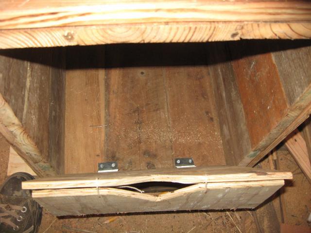 56493_trap_nest_research_133.jpg