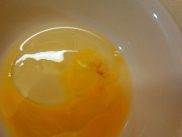 56528_yolk.jpg