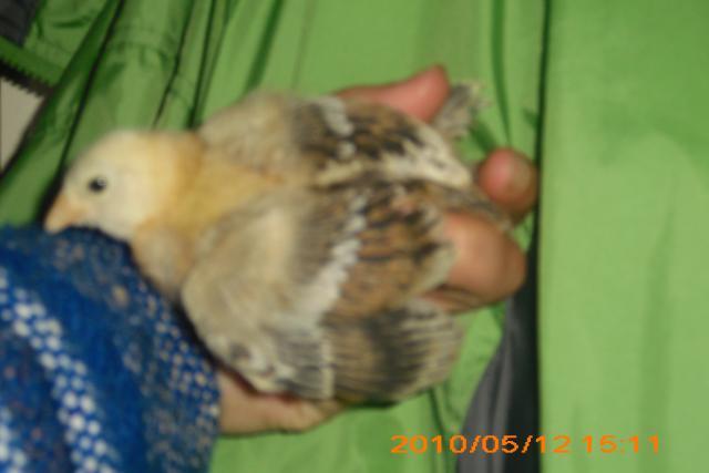 56552_005.jpg