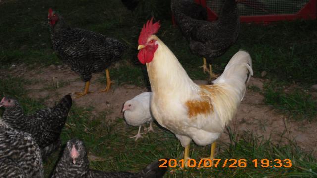 56552_112.jpg