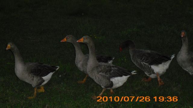56552_120.jpg