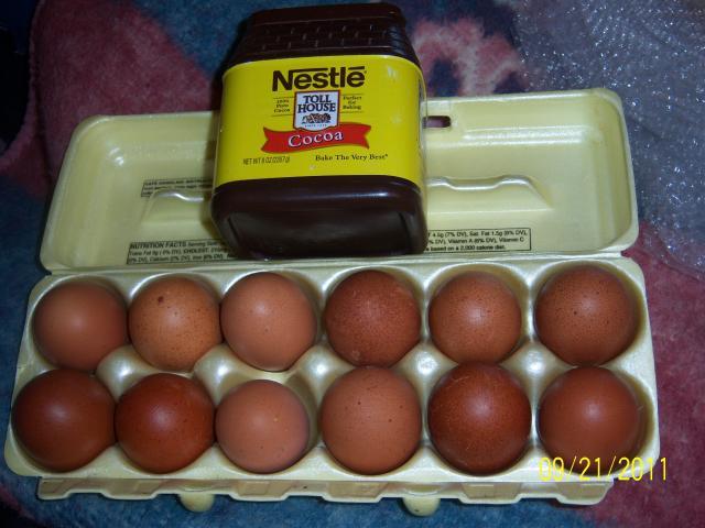 56682_100_2034_assorted_marans_3_with_cocoa.jpg