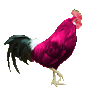 56682_chicken-clipart-picture6.gif