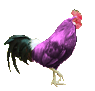 56682_chicken-clipart-picture7.gif