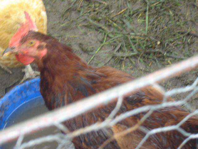 56696_dsc09076.jpg