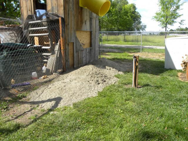 56740_1_coop_run_3_001.jpg