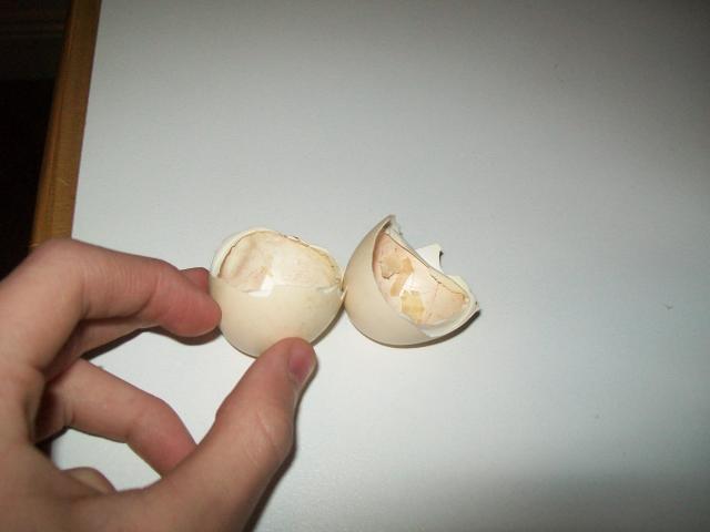 56825_102_2806.jpg