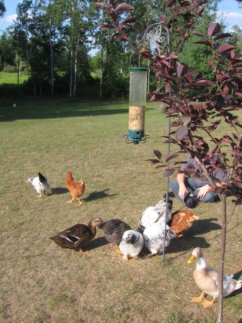 56868_julyaugust_2010_078.jpg