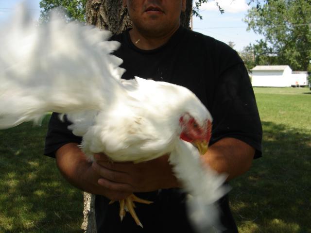 56910_dsc04021.jpg