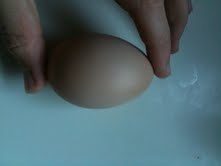 56934_egg5.jpg