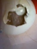 56934_eggggggggggggggggggggggggggg.jpg