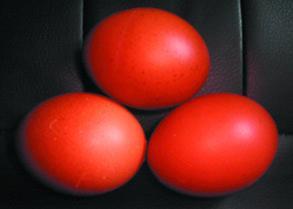 56990_eggs.jpg