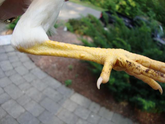 57188_dsc00553.jpg
