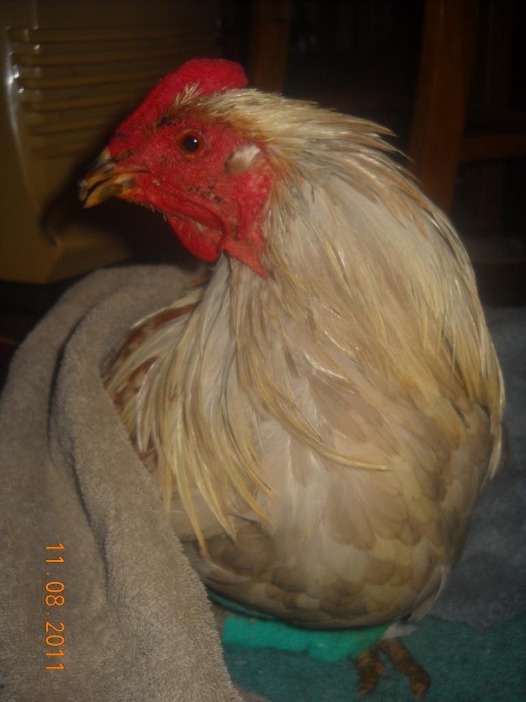57353_024.jpg