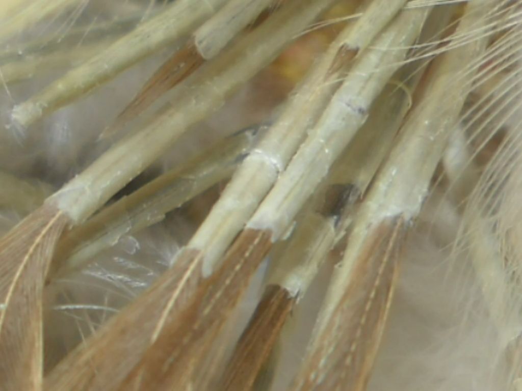 57353_043.jpg